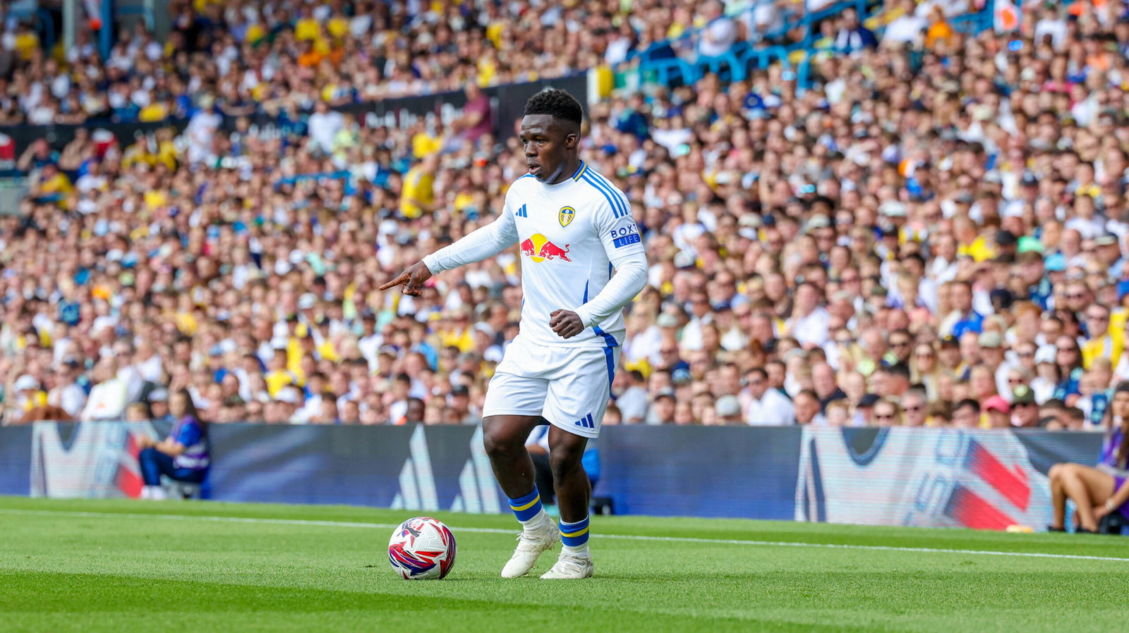 Wilfried Gnonto to Stay at Leeds United Amid Italian Interest