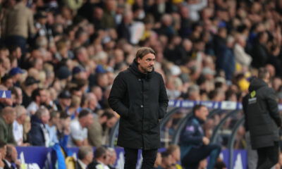 Radebe still backs Daniel Farke (Credits: Imago Images)