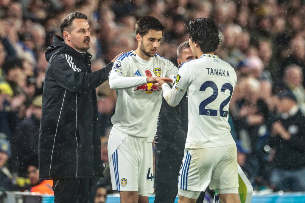 Ao Tanaka has only made substitute appearances post-injury (Credits: Imago Images)