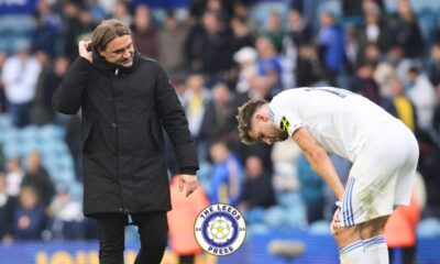 Anton Stach Leeds United