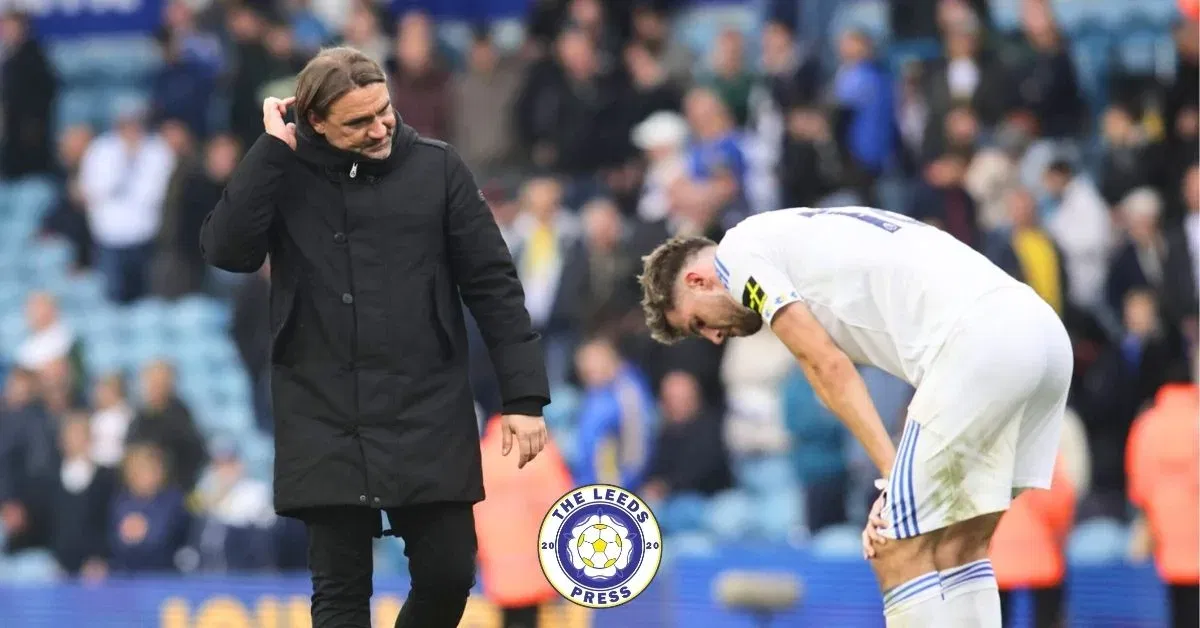 Anton Stach Leeds United